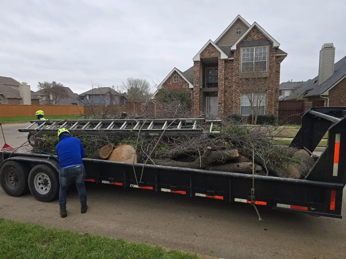 Expert Tree Pest Control with proper safety equipment in Islip Terrace